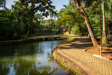 Detalhe do Bosque dos Buritis. Um parque público na cidade de Goiânia em Goiás.