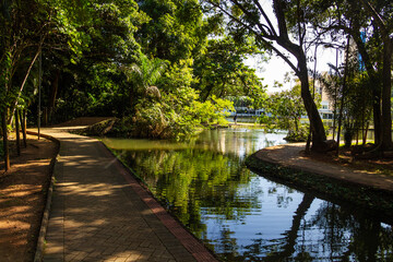 Detalhe do Bosque dos Buritis. Um parque público na cidade de Goiânia em Goiás.