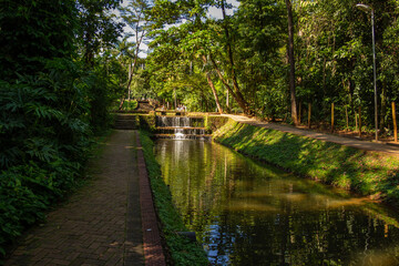 Detalhe do Bosque dos Buritis. Um parque público na cidade de Goiânia em Goiás.