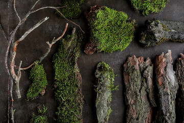 Natural forest items on a dark brown background. Moss, bark and branches from the forest