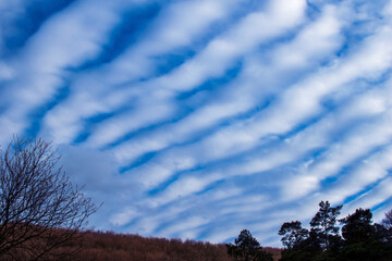 Dramatic blue sky background with clouds and forest outdoors