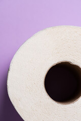 Detail of a roll of toilet paper.