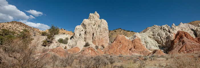 Fototapeta na wymiar Scenery on the Cottonwood Canyon Rd, Utah