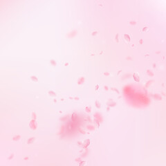 Sakura petals falling down. Romantic pink flowers corner. Flying petals on pink square background. Love, romance concept. Amusing wedding invitation.