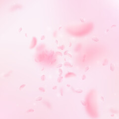 Fototapeta na wymiar Sakura petals falling down. Romantic pink flowers explosion. Flying petals on pink square background. Love, romance concept. Extraordinary wedding invitation.