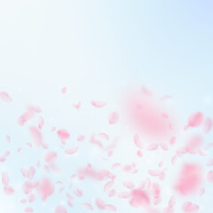 Sakura petals falling down. Romantic pink flowers gradient. Flying petals on blue sky square background. Love, romance concept. Posh wedding invitation.