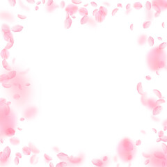 Fototapeta na wymiar Sakura petals falling down. Romantic pink flowers frame. Flying petals on white square background. Love, romance concept. Posh wedding invitation.