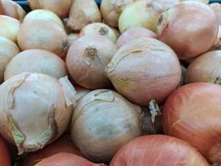 fresh onions for sale in the market