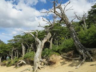 Torres del Paine.