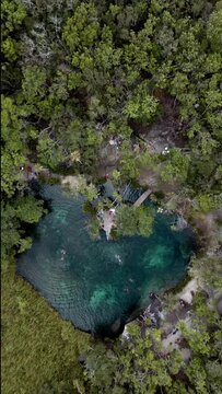 Heart shaped cenote in the middle of a jungle in Tulum, Mexico.