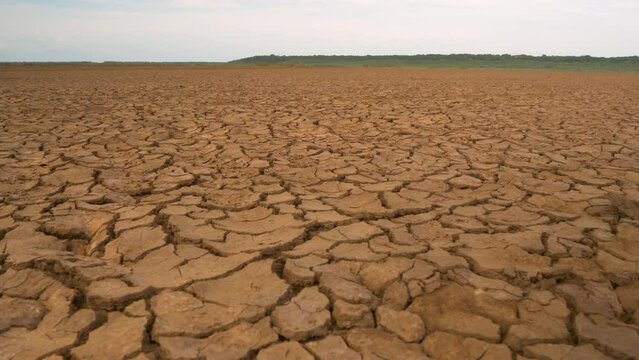CLOSE UP: Big area of cracked soil caused by long draught. Brown desiccated land with ground cracks and no vegetation. Dry landscape with crack pattern caused by lack of water.