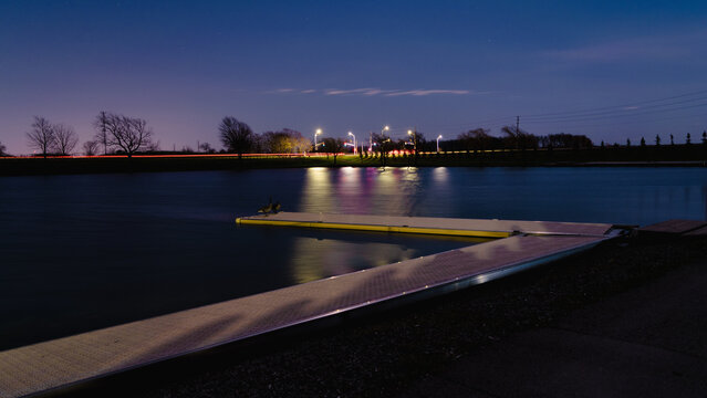 Colorful Lights Reflect as Geese Watch
