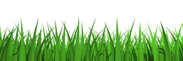 Grass profile view isolated
