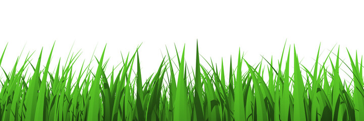 Grass profile view isolated