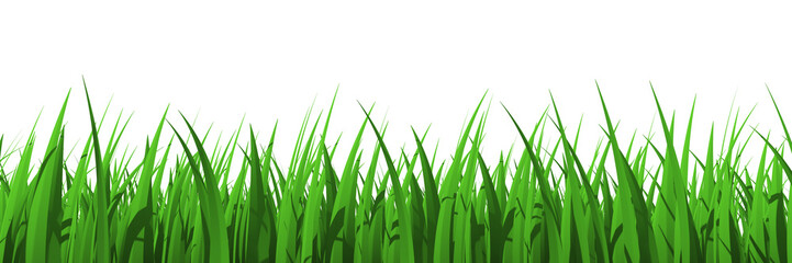 Fototapeta na wymiar Grass profile view isolated