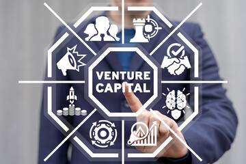 Concept of venture capital. Startup business organization. Fund-raising.