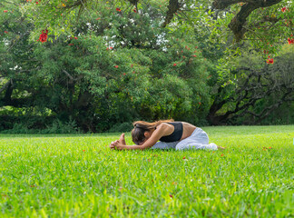 Young Woman Practicing Yoga Doing Forward Bend Pose Under a Tree in a Park.Wellness Concept