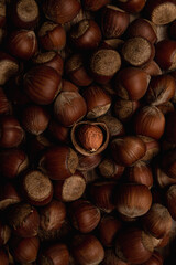 Food photography texture from hazelnuts