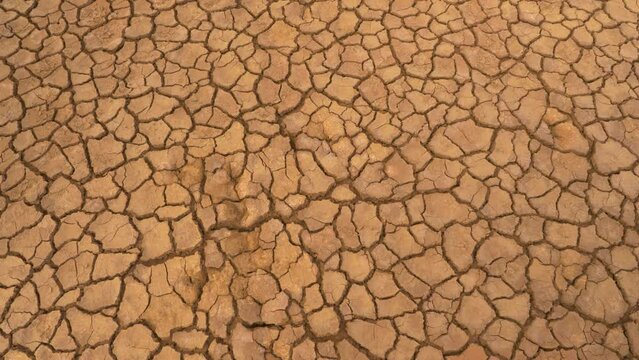 AERIAL TOP DOWN: Aerial top down view of cracked land caused by long draught. Brown desiccated soil with ground cracks and no vegetation. Dry landscape with crack pattern caused by lack of water.