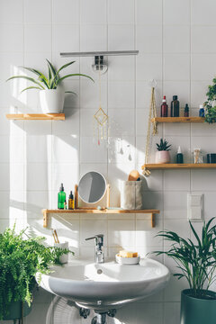 White eco friendly tile wall in modern bathroom with shelfs from natural materials, flowers, plants, hanging pots. Reusable glass bottles. Sun catcher on the wall. Zero waste and wellness