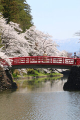上杉神社の桜（山形県・米沢市）