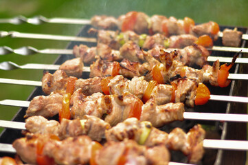 Pork Skewers On The Grill