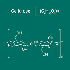 chemical structure of Cellulose (C6H10O5)n