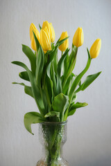 Yellow tulip flowers in a vase.