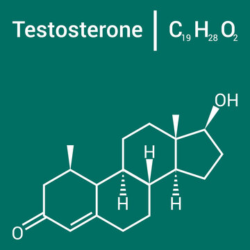 chemical structure of testosterone (C19H28O2)