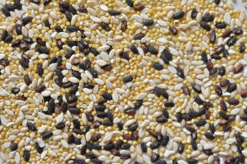 雑穀　五穀　黒米　きび　大麦　はと麦　アマランサス