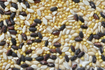 雑穀　五穀　黒米　きび　大麦　はと麦　アマランサス