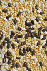 雑穀　五穀　黒米　きび　大麦　はと麦　アマランサス