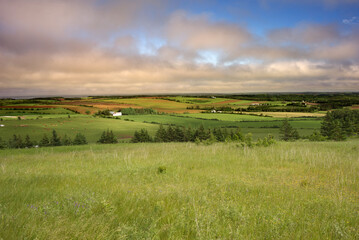 Farmland and agriculture, Long River, Prince Edward Island, Canada © Millvale Photo