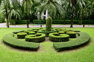 The Beautiful garden decorated with bushes in a round shape and green lawn with natural background...