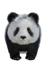 Panda Portrait Illustration 3D © photorebelle