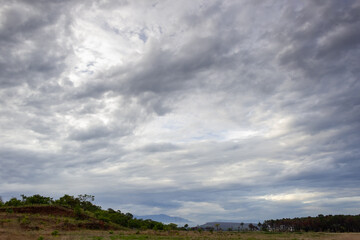 clouds over the forest