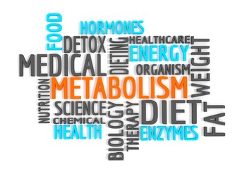 Words cloud of metabolism. Concept of human health. 3D render