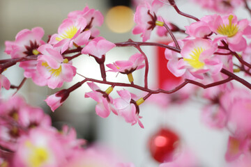 Pink Cherry Blossoms with Chinese ornaments on a blur cafe background