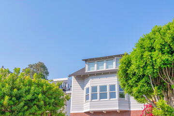 Trees at the front of a house in a suburbs of San Francisco, California