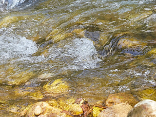 Mountain river. Pure water.