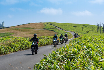 Fototapeta premium 夏の宗谷丘陵 白い道のイメージ 北海道稚内市