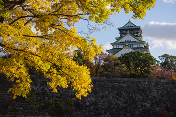 Landscape view of Osaka Castle framed by Autumn trees in Osaka, Japan. Autumn / Fall