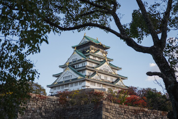 Landscape view of Osaka Castle framed by trees in Osaka, Japan. 