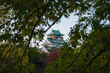 Landscape evening view of Osaka Castle framed by trees in Osaka, Japan. 