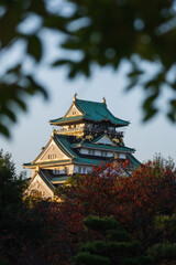Fototapeta na wymiar Evening view of Osaka Castle framed by trees in Osaka, Japan. 