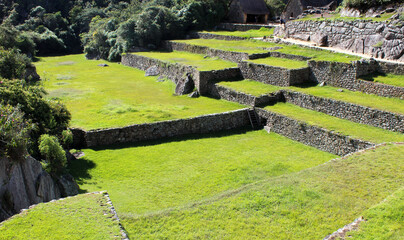 Ruinas de Machu Picchu, terraços de plantação e muros de contenção. - obrazy, fototapety, plakaty