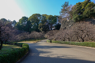 Imperical Palace in Tokyo, Japan