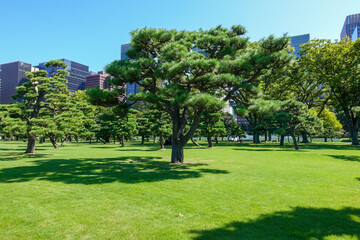 Imperial Palace Garden in Tokyo, Japan