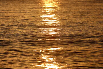 set of pictures of the beauty of nature in the morning