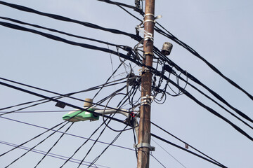 Photo of an electric pole with tangled wires